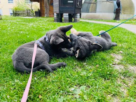 Fotochallenge 88-Beitrag-Bild