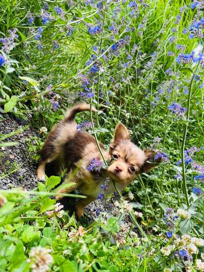 Lieblingsbild :D-Beitrag-Bild