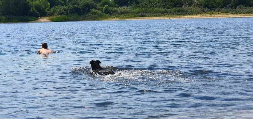 Foto Challenge - BEENDET - bitte aktuelle Challenge nutzen-Beitrag-Bild