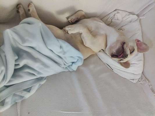 Die unbequemsten und lustigsten Schlafpositionen-Beitrag-Bild