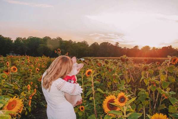 lieblingsbild mit Euren Fellnasen 🤗-Beitrag-Bild