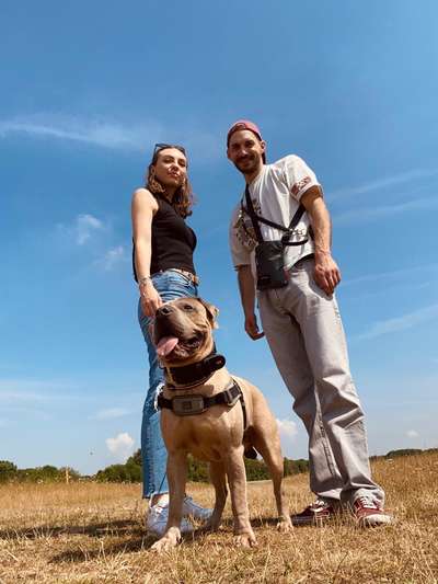 Hundetreffen-Suchen Soziale Kontakte/Hundefreundschaften/Trainingspartner im neuen Wohnort!😊-Bild