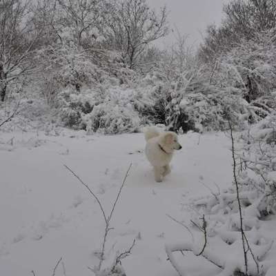 Pullis, Jacken, Hütte und alles sonstiges-Beitrag-Bild