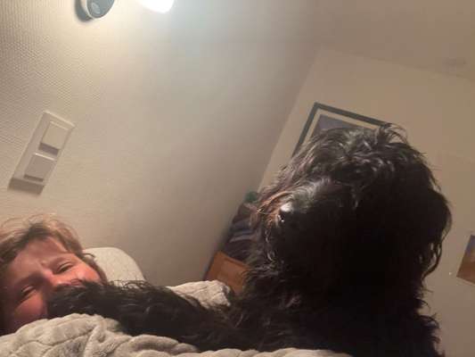 Dogorama Photo Challenge - Liebesbeweis-Beitrag-Bild