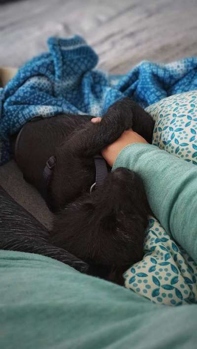 Foto Challange Nr.80-Beitrag-Bild