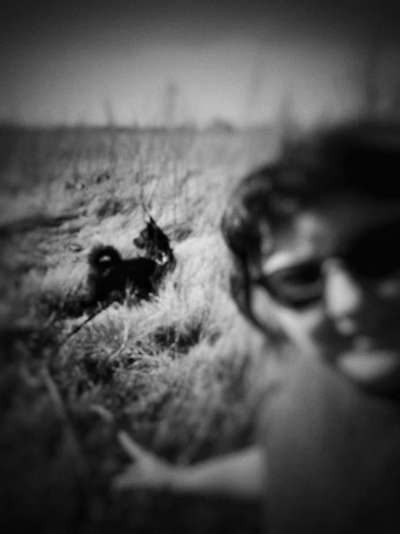 Dogorama Photo Challenge - Selfie Time!-Beitrag-Bild