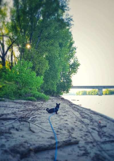 Fotowettbewerb Natur-Beitrag-Bild