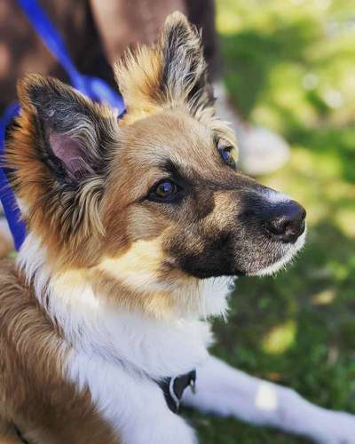 Lieblingsbild :D-Beitrag-Bild