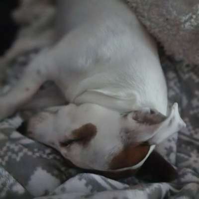 Schlafzeit!💖-Beitrag-Bild