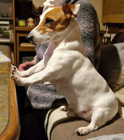 147. Foto Challenge: Bettelblick-Beitrag-Bild