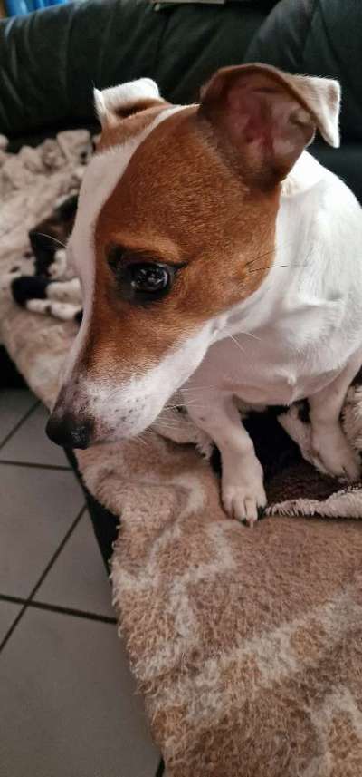 Was haltet ihr von der Ernährung mit insektenfutter?-Beitrag-Bild