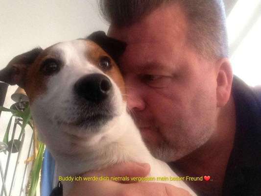 Unsere Fellnasen im Regenbogenland-Beitrag-Bild