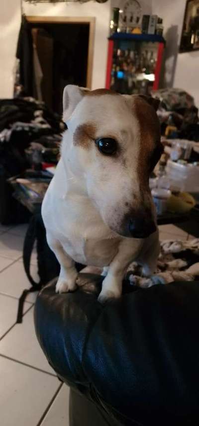 65. Handy Foto Challange                     "Ich kann nicht ohne..."-Beitrag-Bild