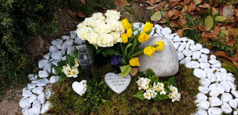 Unsere Fellnasen im Regenbogenland-Beitrag-Bild