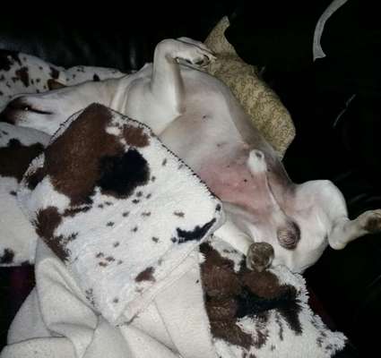 Foto Challenge - Zeigt her eure Bäuche-Beitrag-Bild