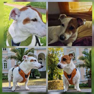 48. Collagen Challenge: Das Leben ist bunt-Beitrag-Bild