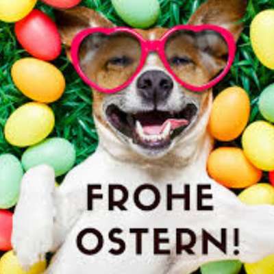 48. Collagen Challenge: Das Leben ist bunt-Beitrag-Bild