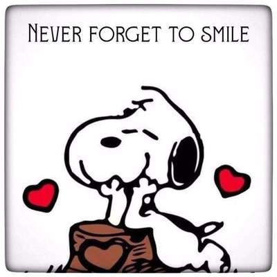 Hunde Memes-Beitrag-Bild