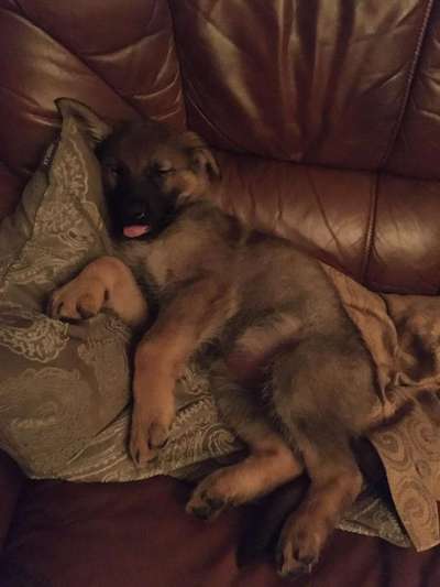 Die unbequemsten und lustigsten Schlafpositionen-Beitrag-Bild