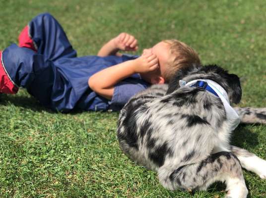 Challenge 23 : "  Euer Hund beim Frühlingserwachen "-Beitrag-Bild