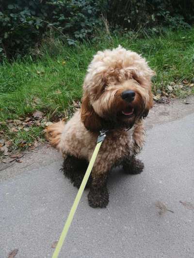 Zeigt mir doch mal eure Dreckspätze-Beitrag-Bild