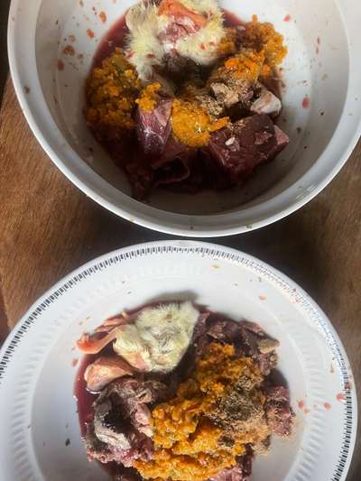 Zeigt her Eure Futternäpfe-Beitrag-Bild