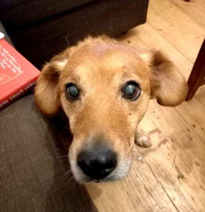 Handy-Foto Challange Nr. 10-Beitrag-Bild