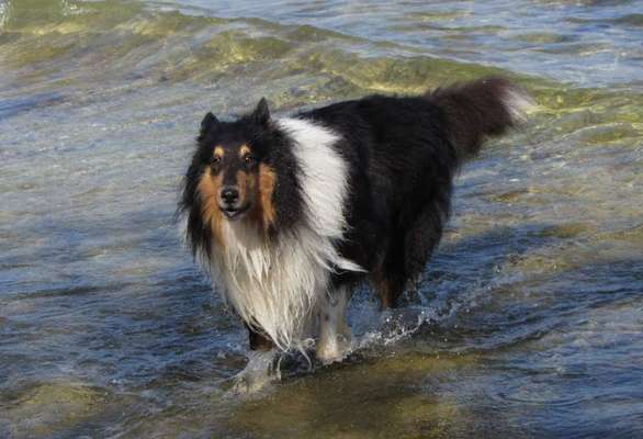 Theos Fotochallange Nummer 4-Beitrag-Bild