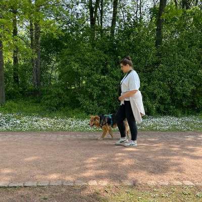 Hundetreffen-Spaziergang & Spielrunde bei Hunde-Sympathie 😊-Profilbild