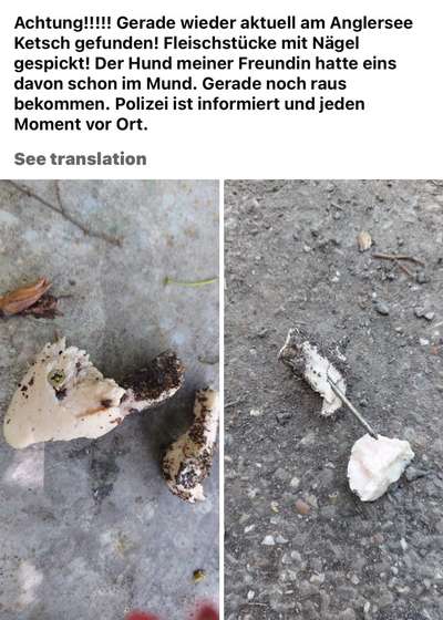 Giftköder-Fleisch mit Nagel-Bild