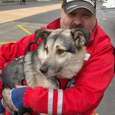Hundetreffen-Treffe mich mit der nachbarien