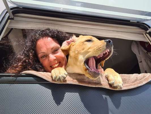 !!SELFIE MIT DEINEM LIEBLING!!-Beitrag-Bild