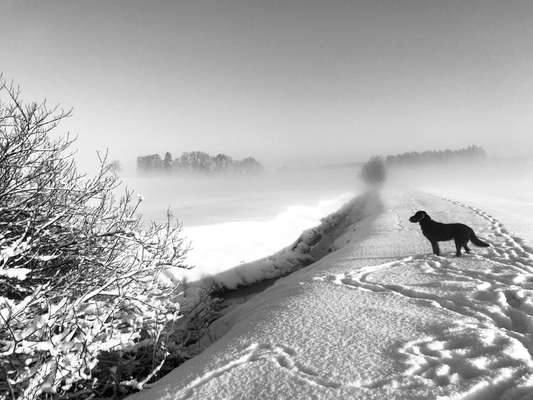 Challenge Nr. 15
Spiel im Schnee-Beitrag-Bild