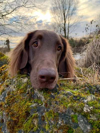 Fotochallenge No. 26                                     Wald und Wiese-Beitrag-Bild