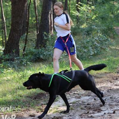 Hundetreffen-Leihhund/Sportpartner gesucht-Bild