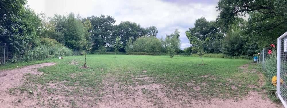 Hundeauslaufgebiet-Freilaufwiese Haselünne-Bild