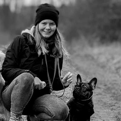 Hundetreffen-Waldspaziergang