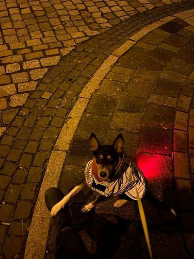 Leuchtie bei Dunkelheit bitte !-Beitrag-Bild