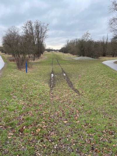 Hundeauslaufgebiet-Heerenkrug Wiese-Bild