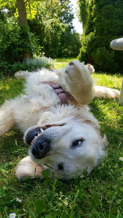 Fotochallange Nr. 6 Die irrsten Blicke-Beitrag-Bild