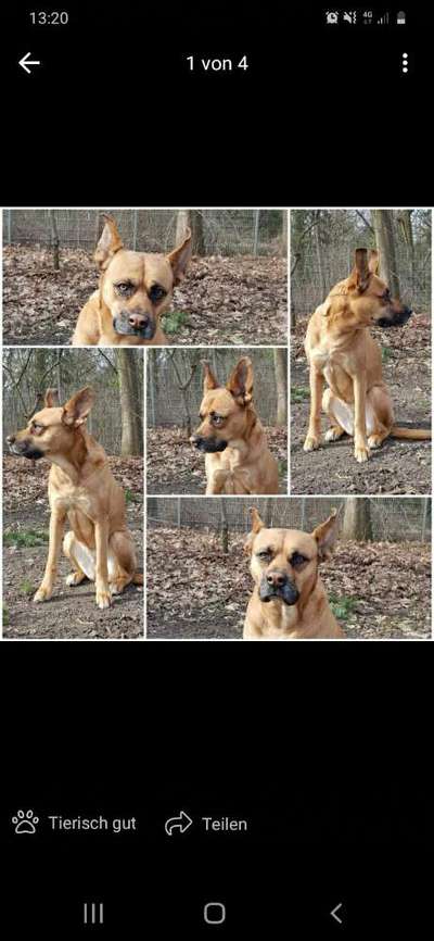 im Gegensatz zu damals.-Beitrag-Bild