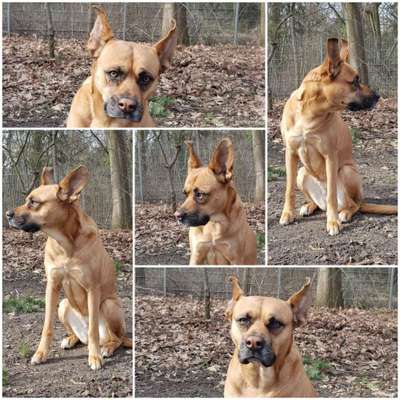 Zeigt mir eure Lieblingsfotos ♡♡-Beitrag-Bild