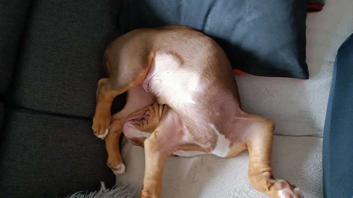 Fotochallenge Nr.65-Beitrag-Bild