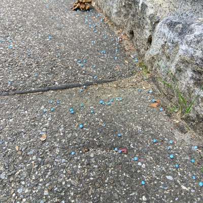 Giftköder-Blaue Kügelchen auf dem Gehweg-Bild