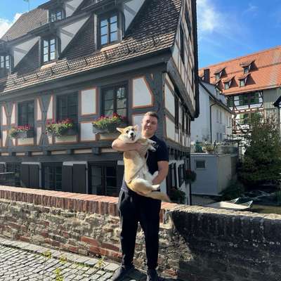 Hundetreffen-Corgi treffen-Profilbild