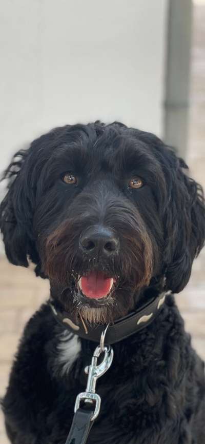 Fotochallange Nr. 57     PORTRÄT.   Beendet!!!!!!!!-Beitrag-Bild