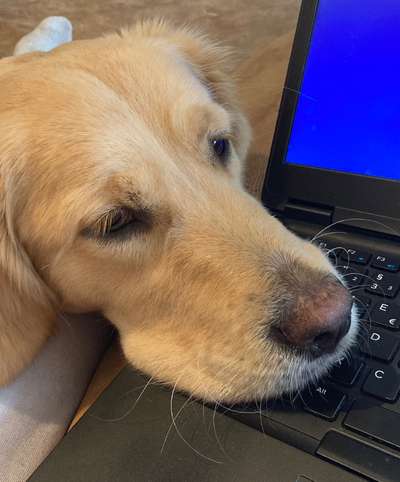 Außergewöhnliche Merkmale-Beitrag-Bild