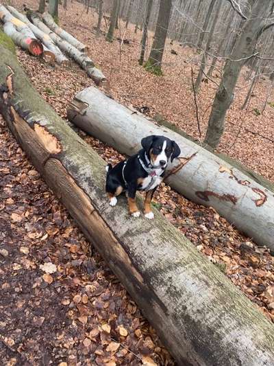 Theos Fotochallenge Nr. 3-Beitrag-Bild