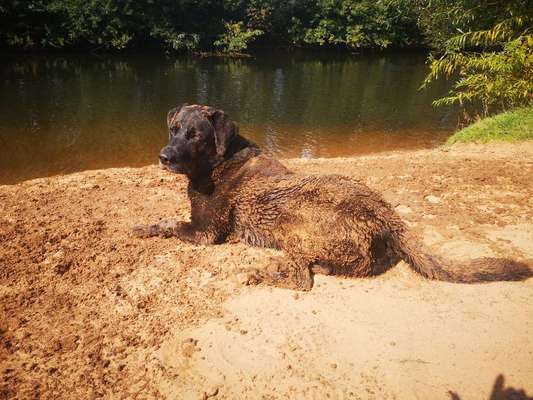 Dogorama-Monats-Challenge-Mai "Wasser"-Beitrag-Bild