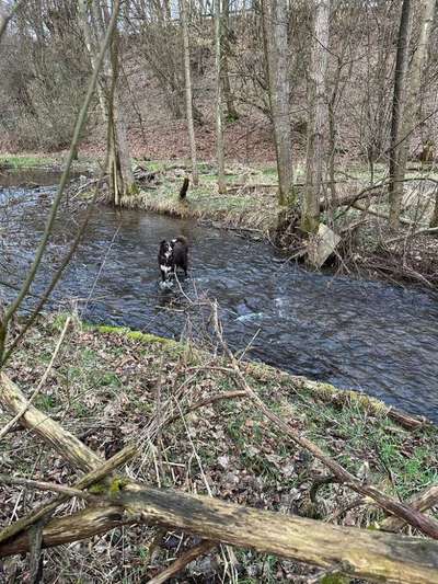 35. Handy Foto Challenge - Das nasse Element-Beitrag-Bild